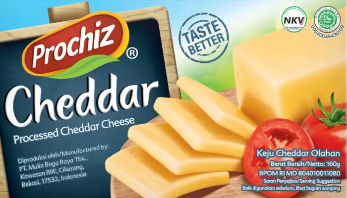 Jasa Artikel SEO Prochiz Indonesia